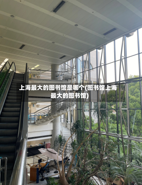 上海最大的图书馆是哪个(图书馆上海最大的图书馆)-第2张图片