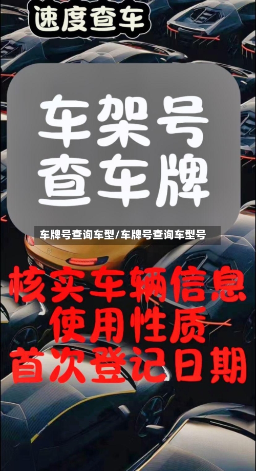 车牌号查询车型/车牌号查询车型号