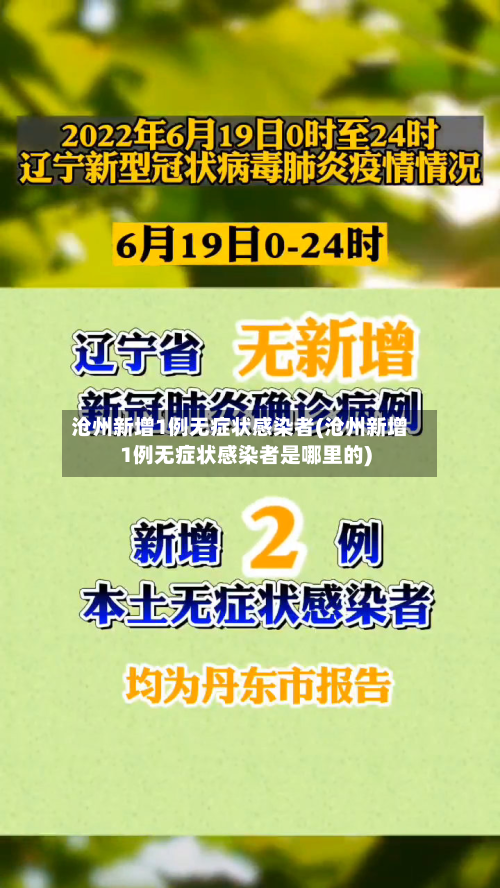 沧州新增1例无症状感染者(沧州新增1例无症状感染者是哪里的)-第3张图片