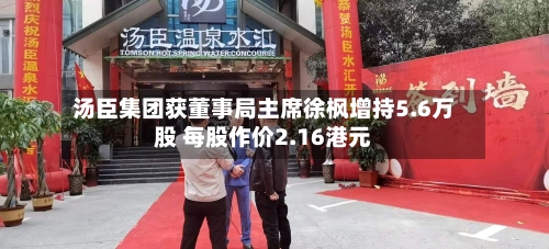 汤臣集团获董事局主席徐枫增持5.6万股 每股作价2.16港元-第2张图片