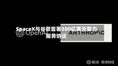 SpaceX与谷歌签署300亿美元算力服务协议-第3张图片