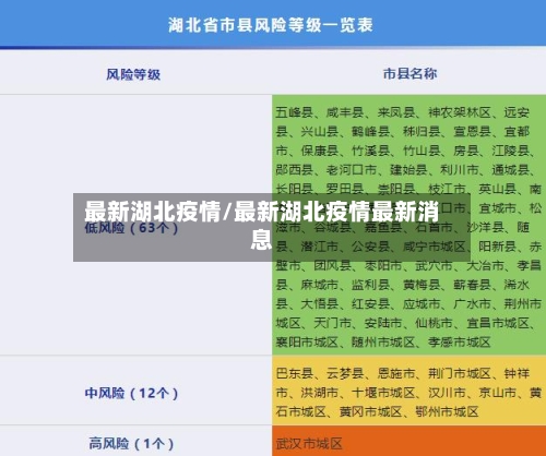 最新湖北疫情/最新湖北疫情最新消息-第2张图片