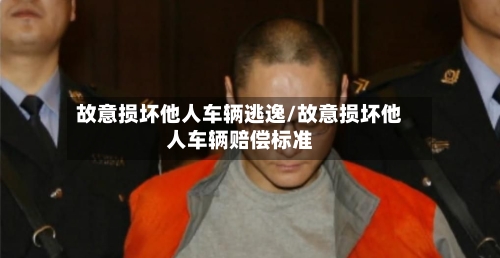 故意损坏他人车辆逃逸/故意损坏他人车辆赔偿标准