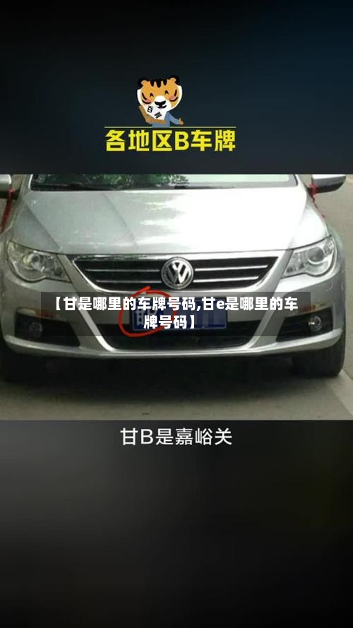 【甘是哪里的车牌号码,甘e是哪里的车牌号码】