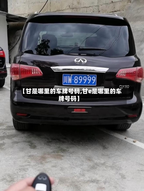 【甘是哪里的车牌号码,甘e是哪里的车牌号码】-第2张图片