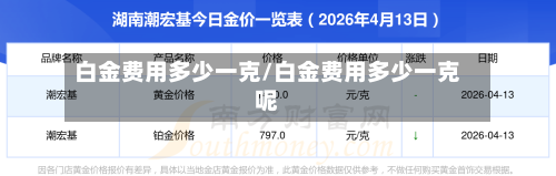 白金费用多少一克/白金费用多少一克呢-第2张图片