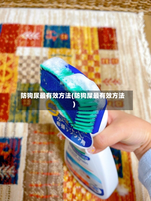 防狗尿最有效方法(防狗屎最有效方法)